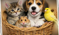 Un chaton, un chiot, un hamster et un canari dans une corbeille